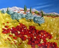 Coquelicots en fleurs - Paysages