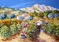 Vendanges au pied de la Ste Baume - Paysages