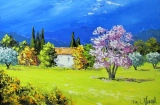 Amandiers en fleurs - Paysages